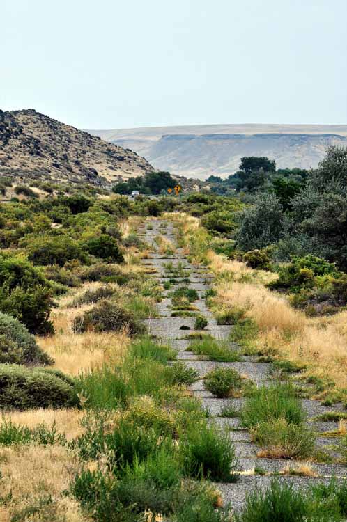 old road with grass growing over it